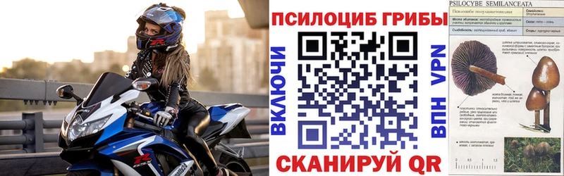 Галлюциногенные грибы ЛСД  купить наркоту  Клинцы 