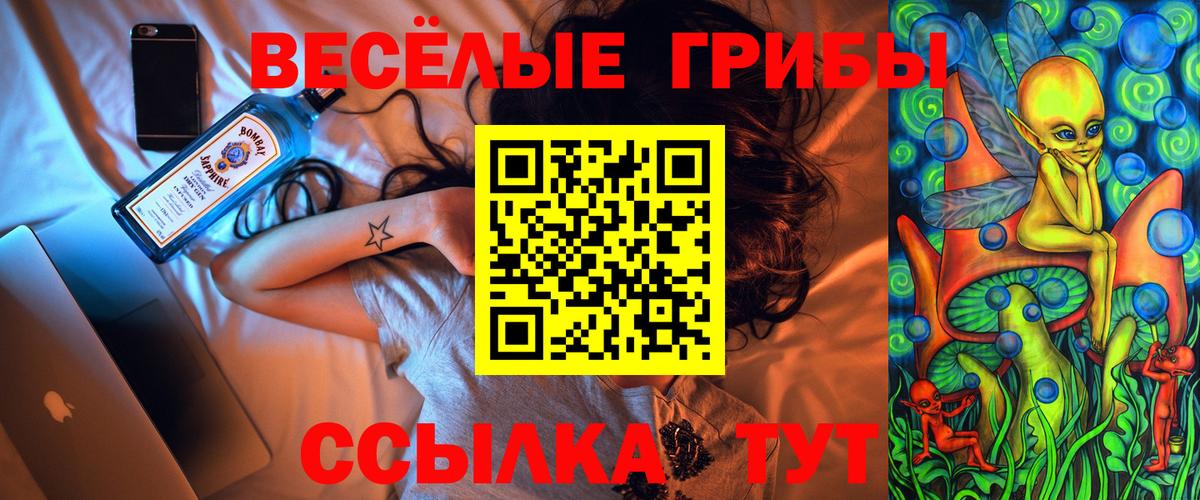 Клинцы  как найти   Вход с VPN  Галлюциногенные грибы мухоморы 